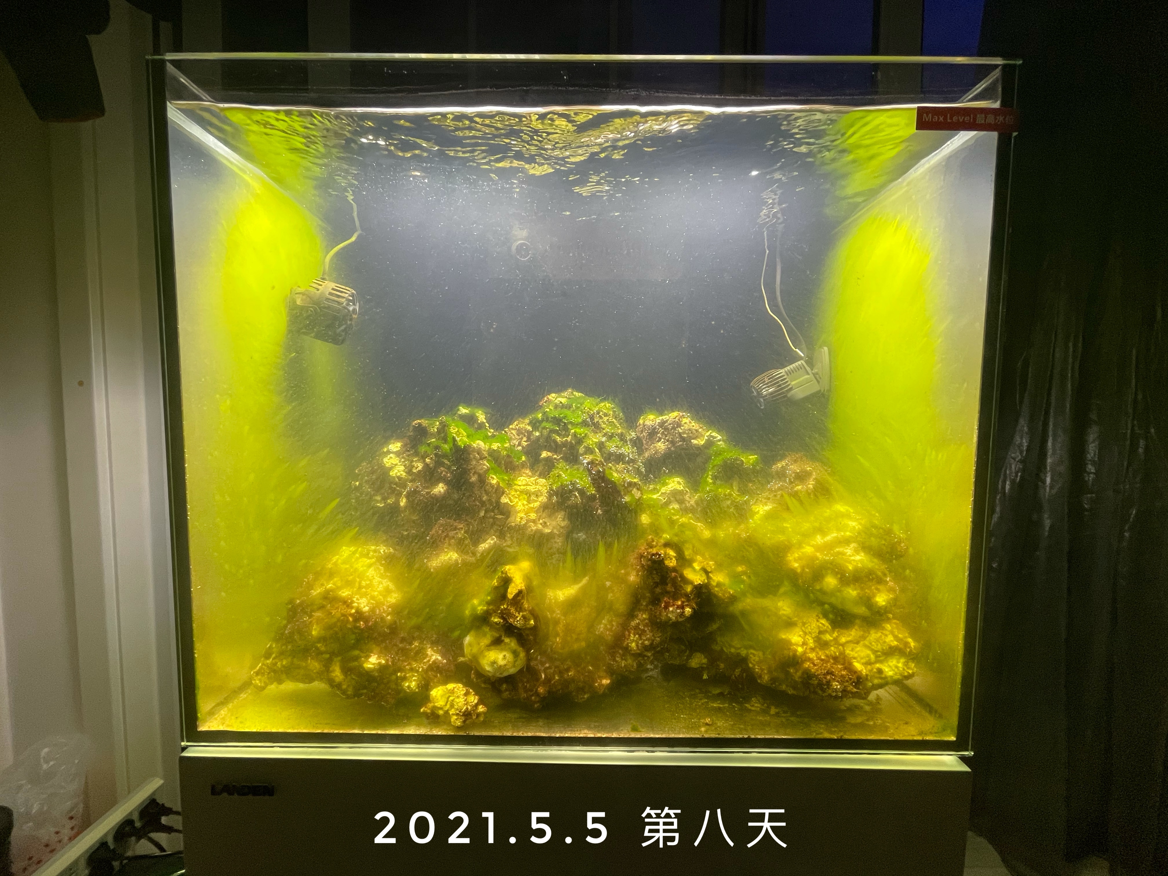 重新开缸了